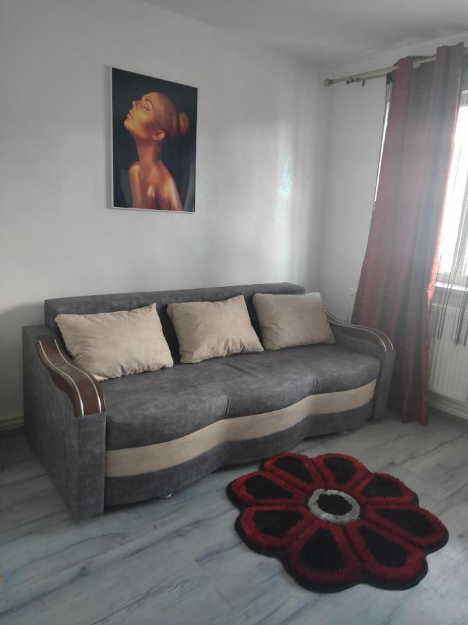 Apartament Geo Nehoiu Eksteriør bilde