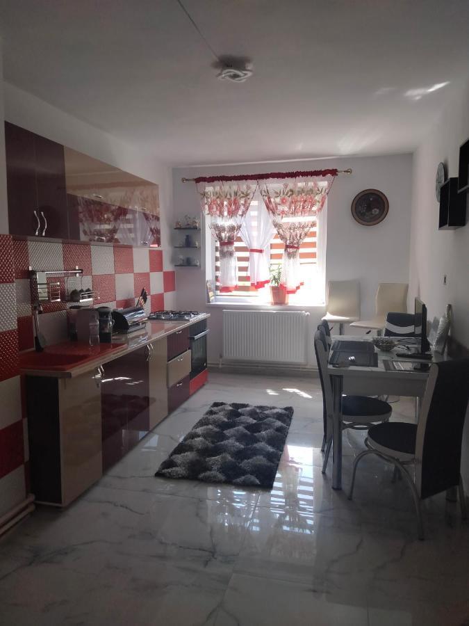 Apartament Geo Nehoiu Eksteriør bilde