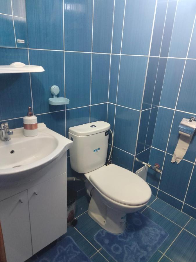 Apartament Geo Nehoiu Eksteriør bilde