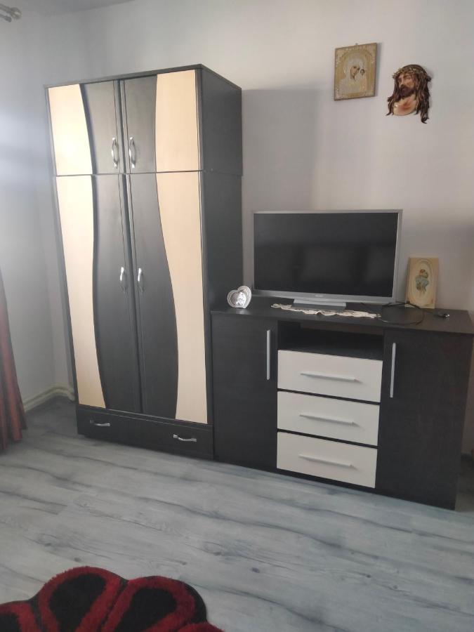 Apartament Geo Nehoiu Eksteriør bilde