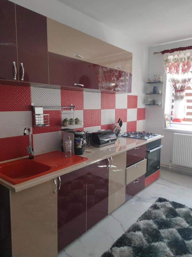 Apartament Geo Nehoiu Eksteriør bilde