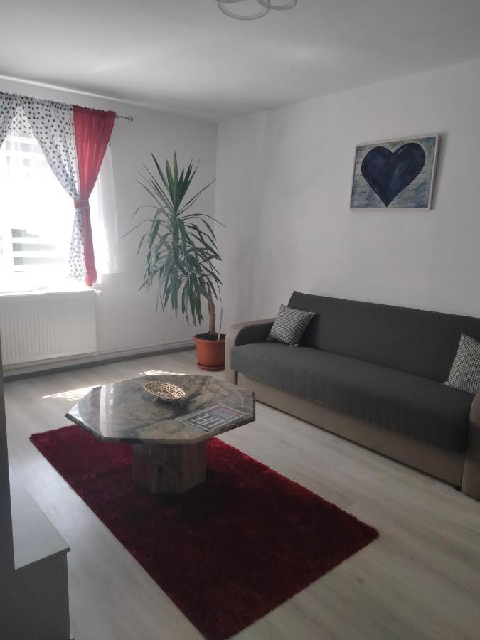 Apartament Geo Nehoiu Eksteriør bilde