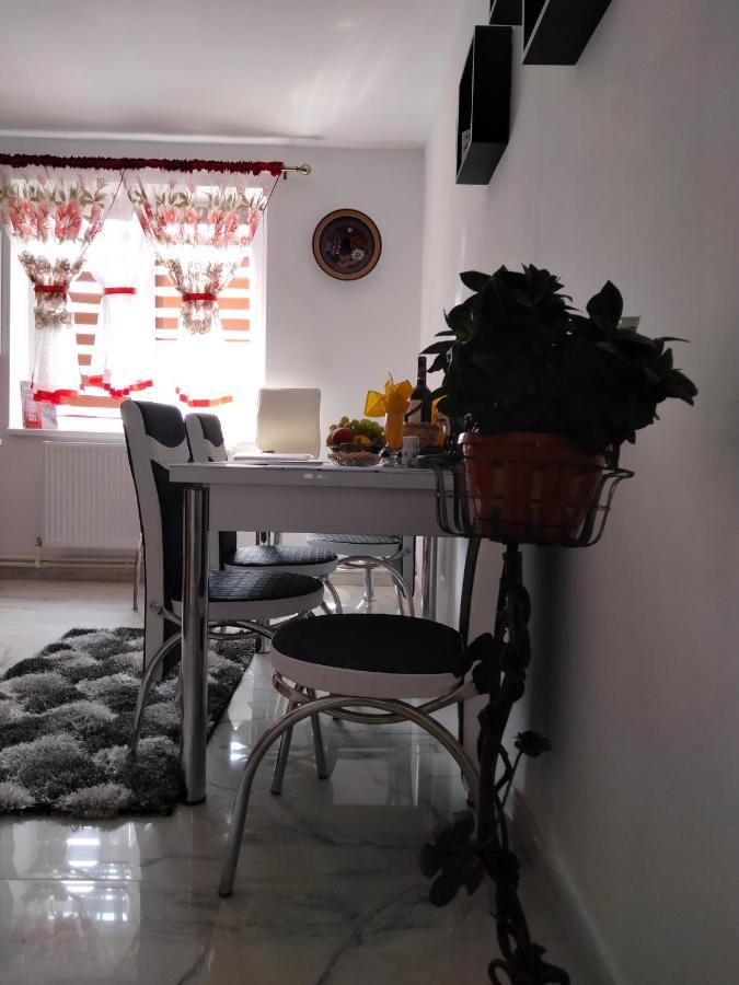 Apartament Geo Nehoiu Eksteriør bilde