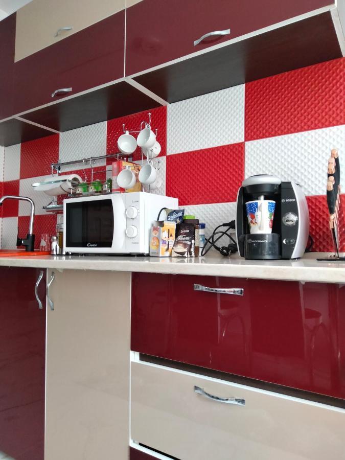 Apartament Geo Nehoiu Eksteriør bilde