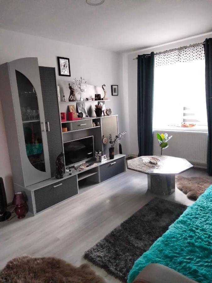 Apartament Geo Nehoiu Eksteriør bilde