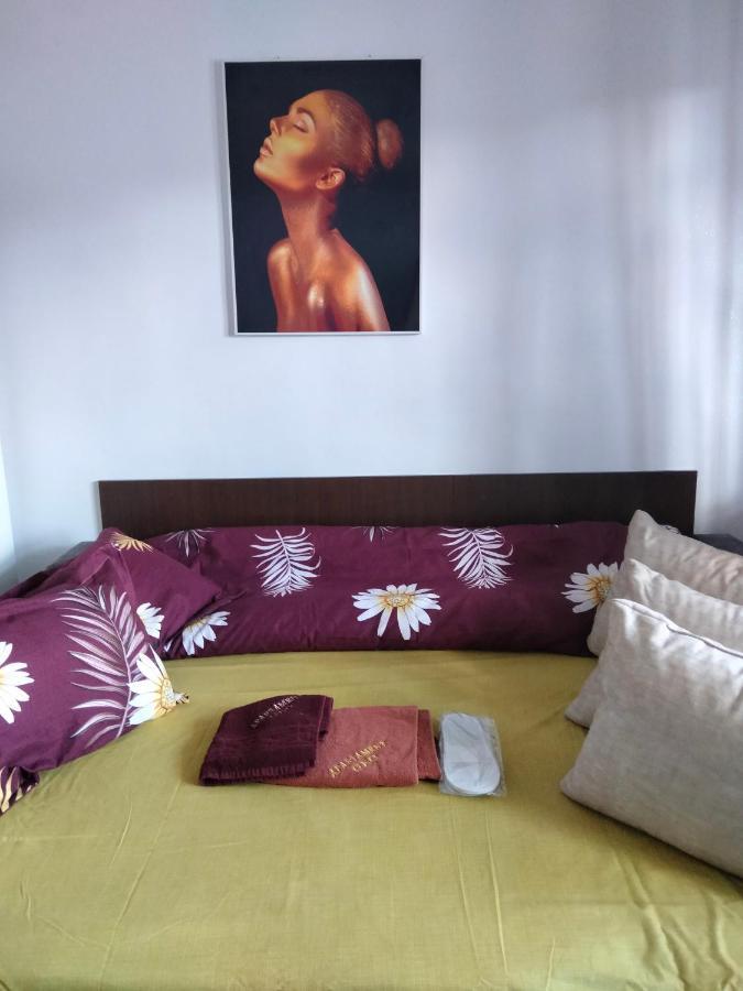 Apartament Geo Nehoiu Eksteriør bilde